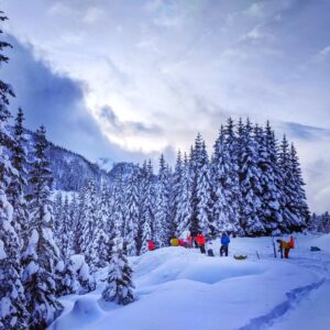 Avalanche Companion Rescue RFA