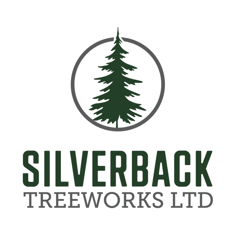 1674155949740_4757411114254336_979_resized